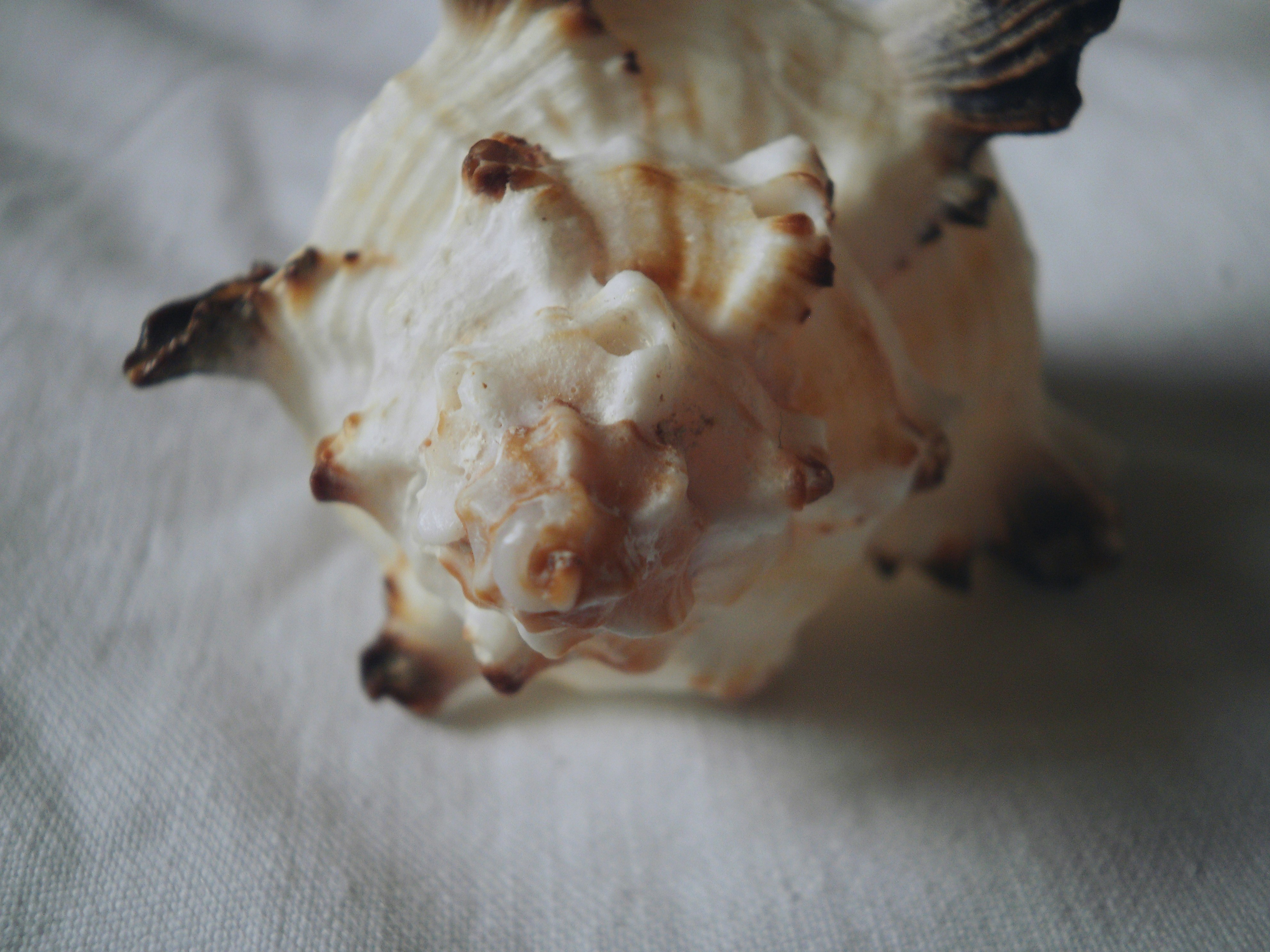 Free Unsplash photo from Kata Osto