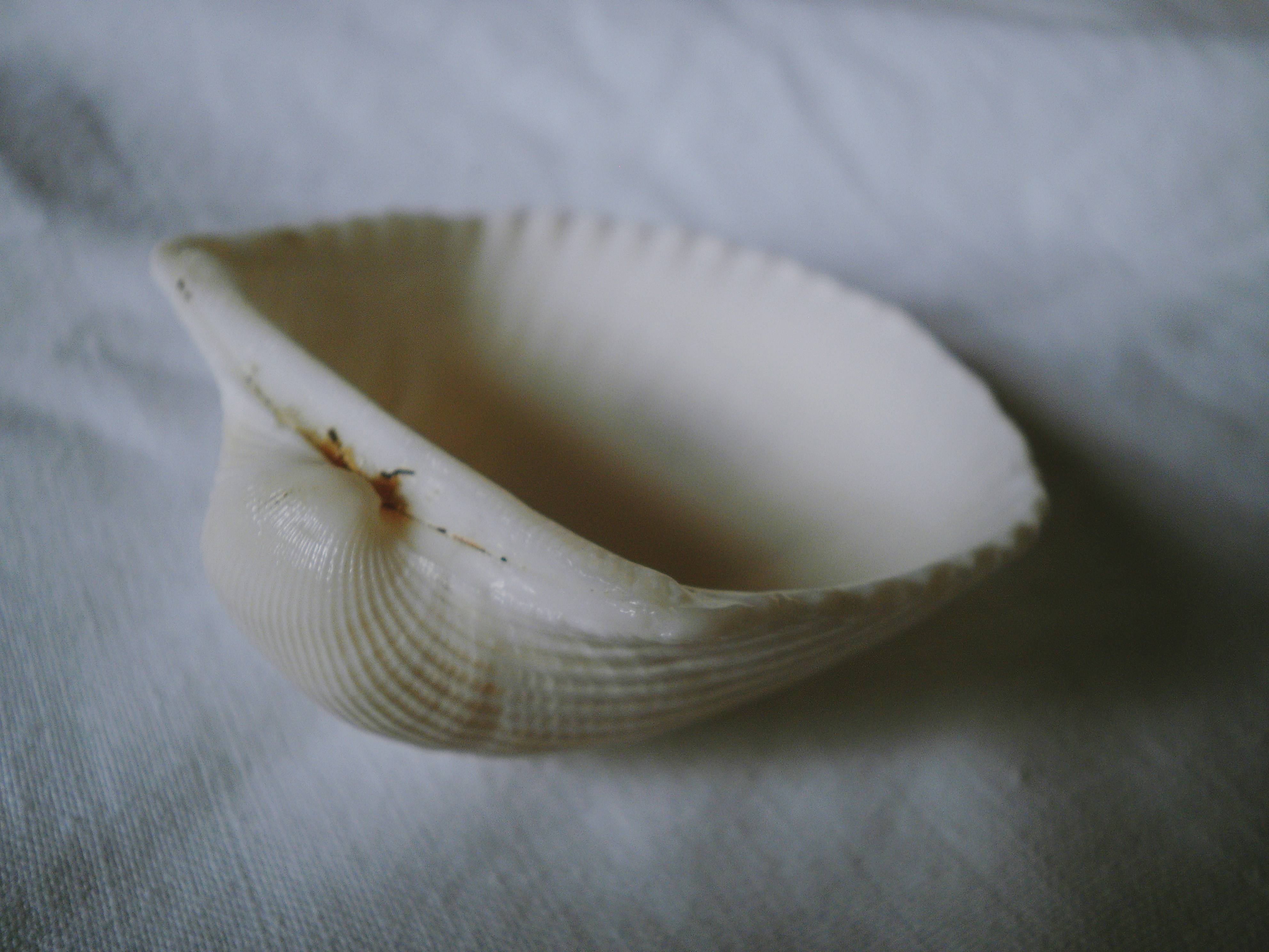 Free Unsplash photo from Kata Osto