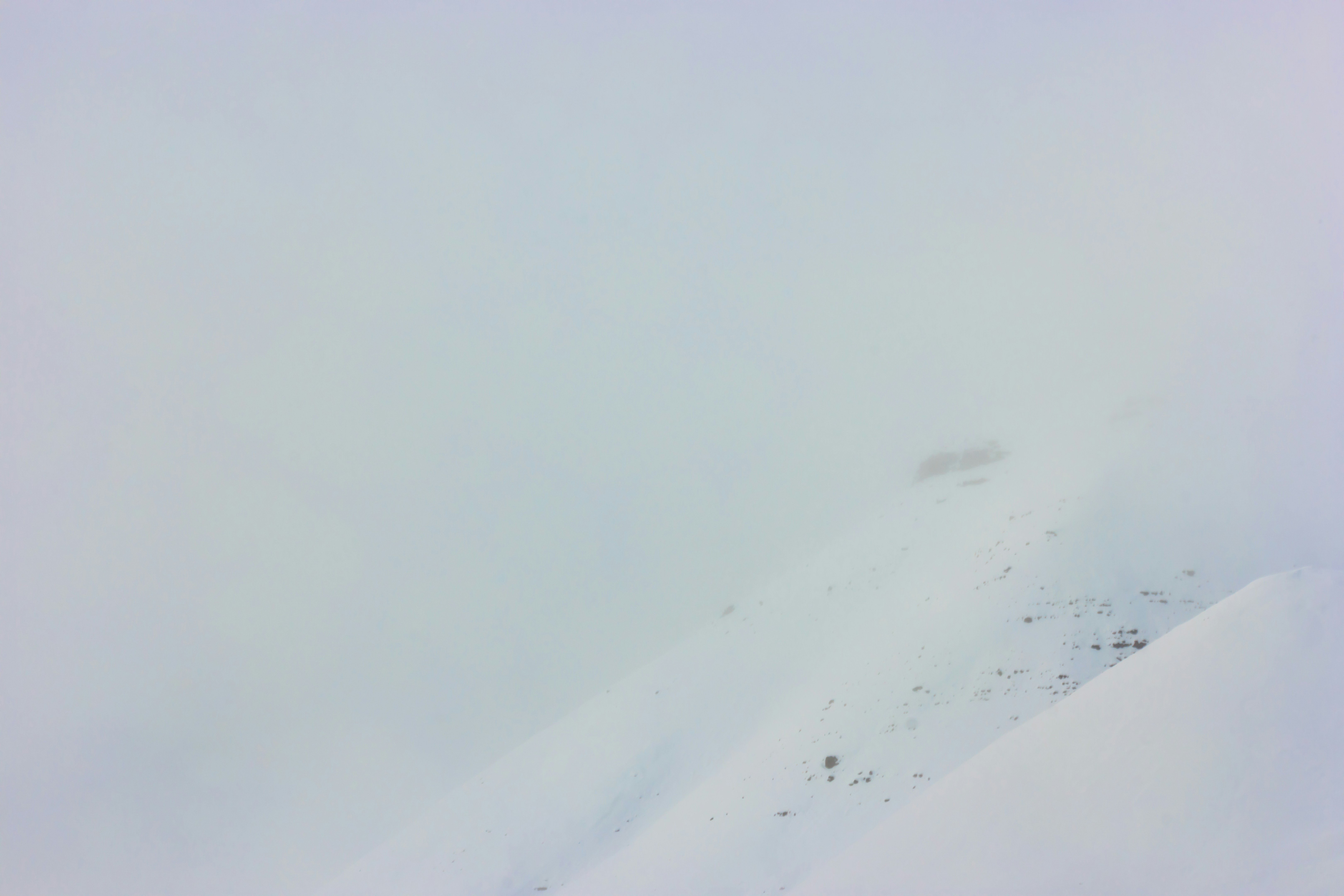 Free Unsplash photo from Shane Spencer