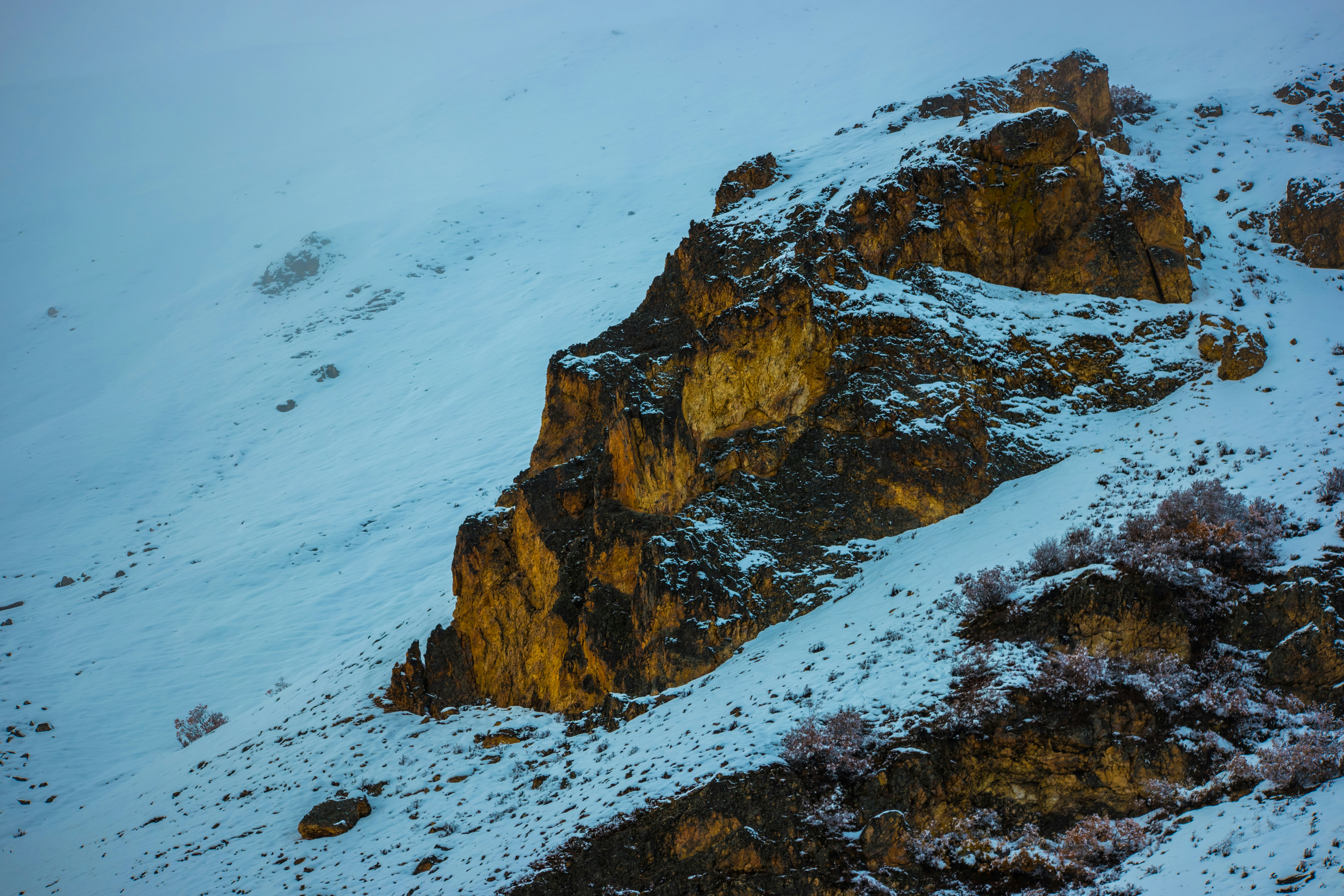 Free Unsplash photo from Shane Spencer