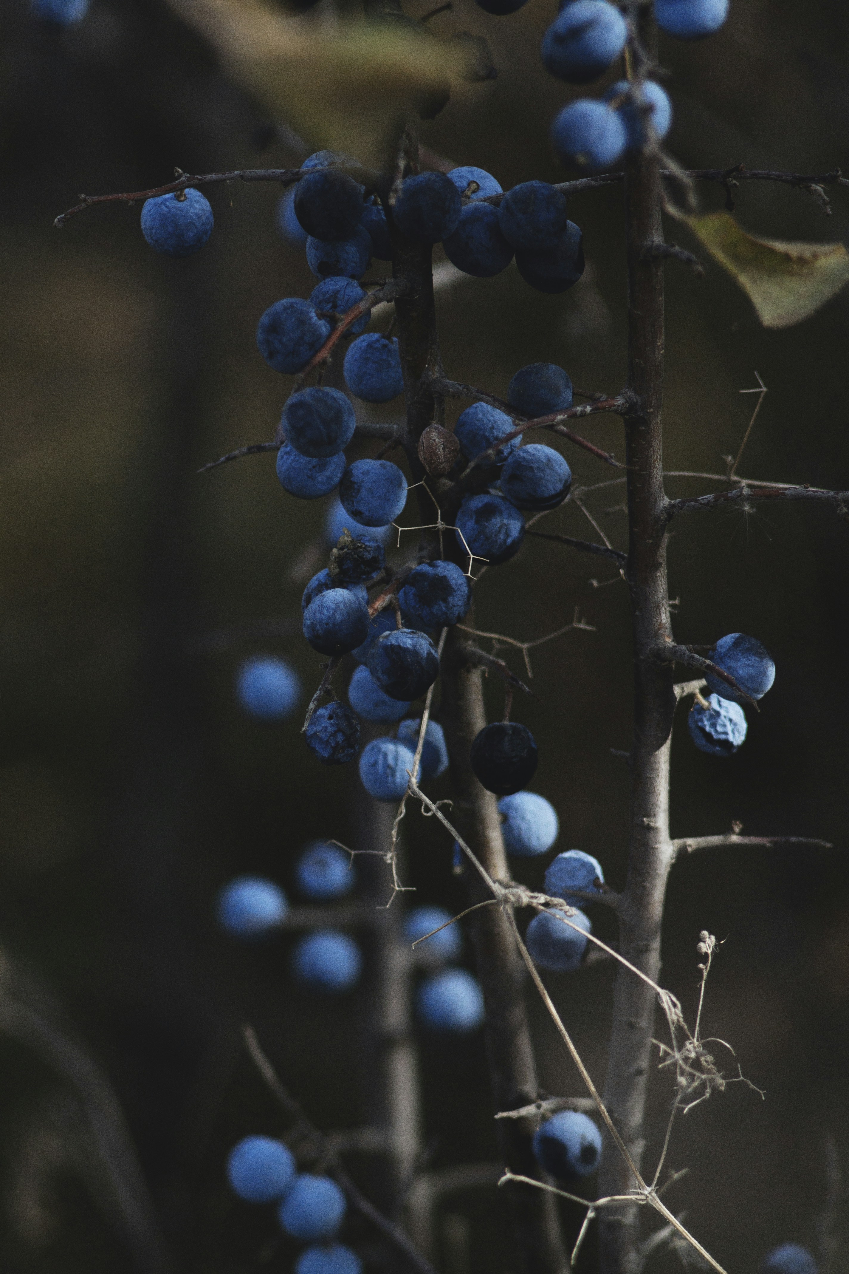 Free Unsplash photo from Roksolana Zasiadko