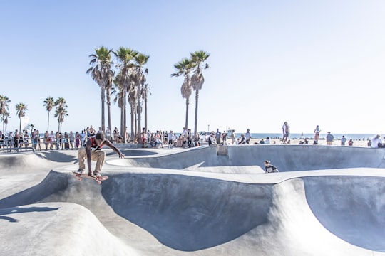 The Venice Beach Boardwalk things to do in Santa Monica Beach