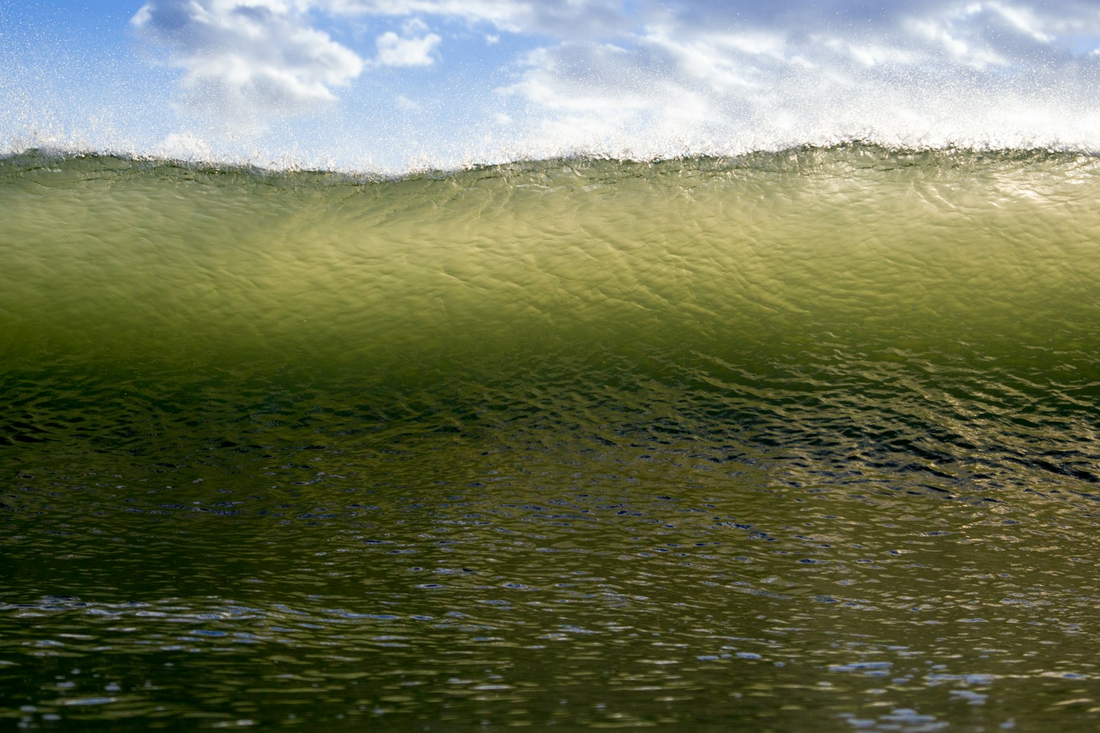 Canon EOS 60D sample photo. Green sea under blue photography