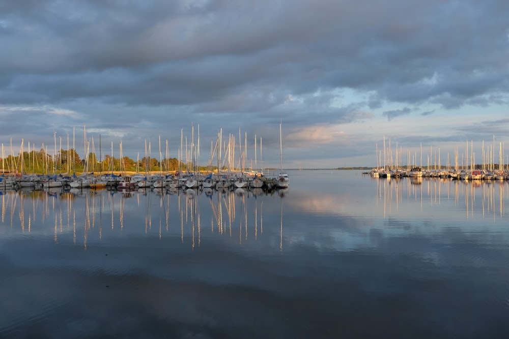 brown boat lot