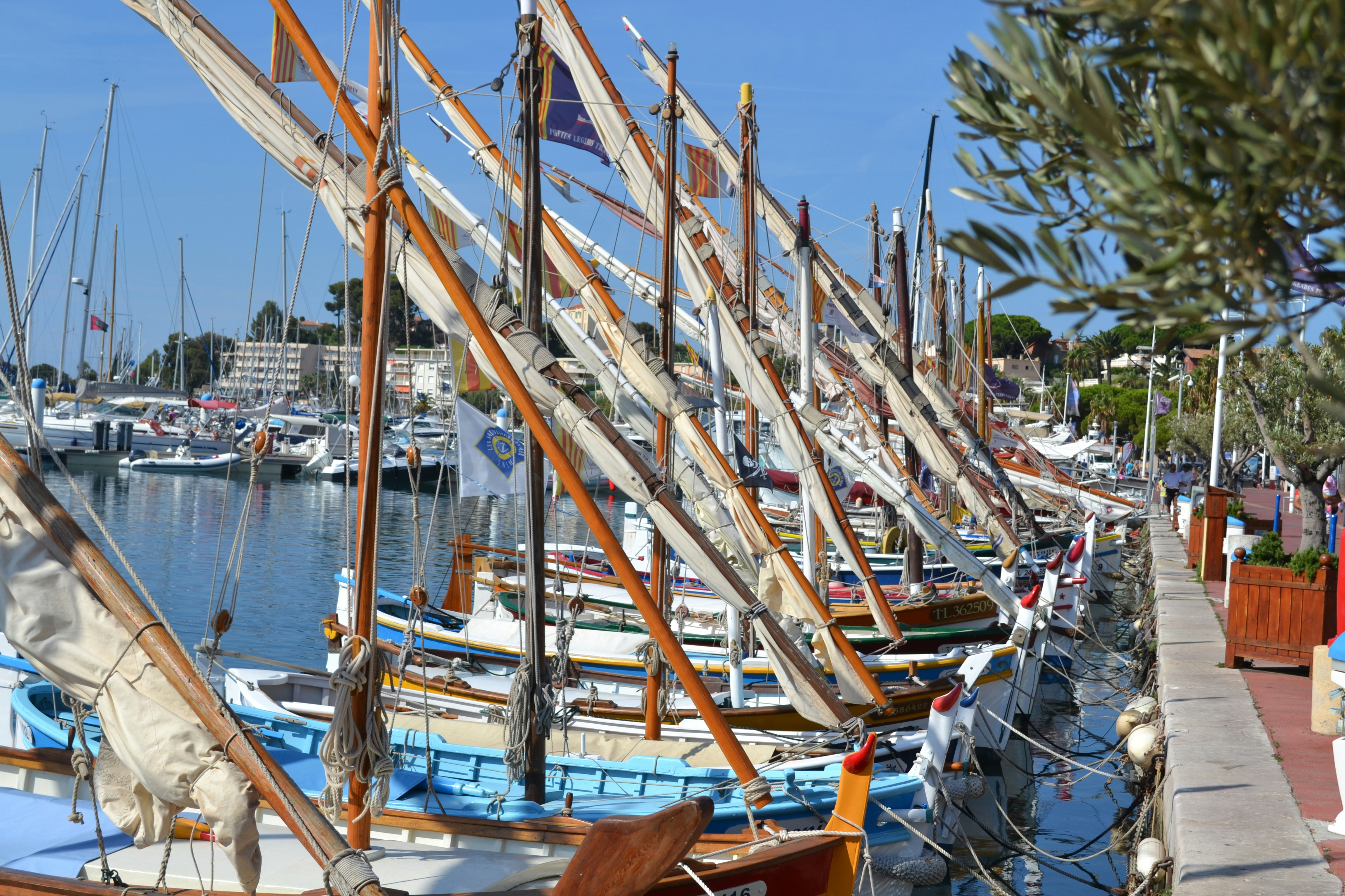 Free Unsplash photo from Thierry E