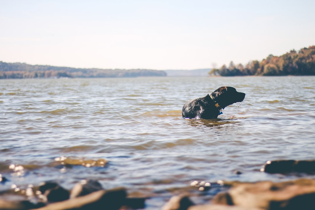 River photo spot Lake Monroe United States