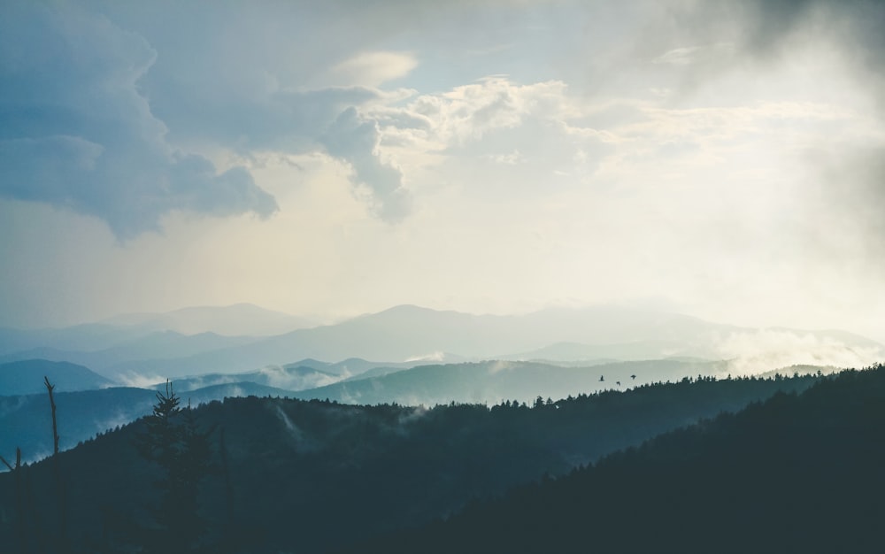 aerial photography of mountain