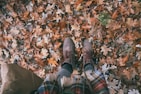A cozy scene with boots and autumn leaves on a rustic floor