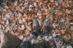 Elegant leather boots placed on a rustic bench with autumn leaves around.