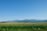 A vast ranch with cattle grazing beneath wide, open skies.