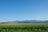 A vast, open grassland stretches across the foreground with a herd of cows grazing. In the background, there is a range of majestic mountains under a clear blue sky.