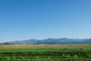 A vast ranch with cattle grazing beneath wide, open skies.