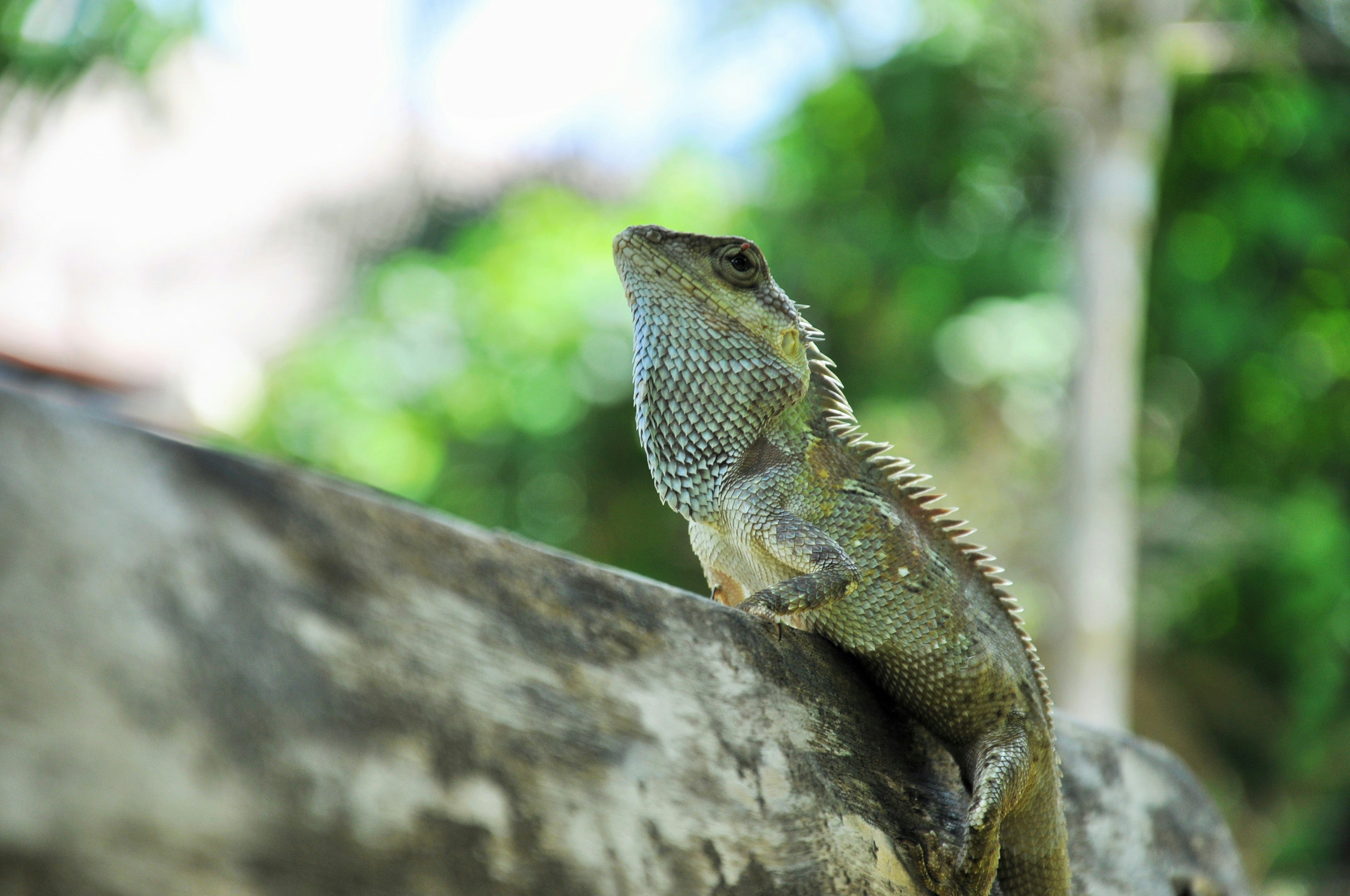 Free Unsplash photo from Pithawat Panyo