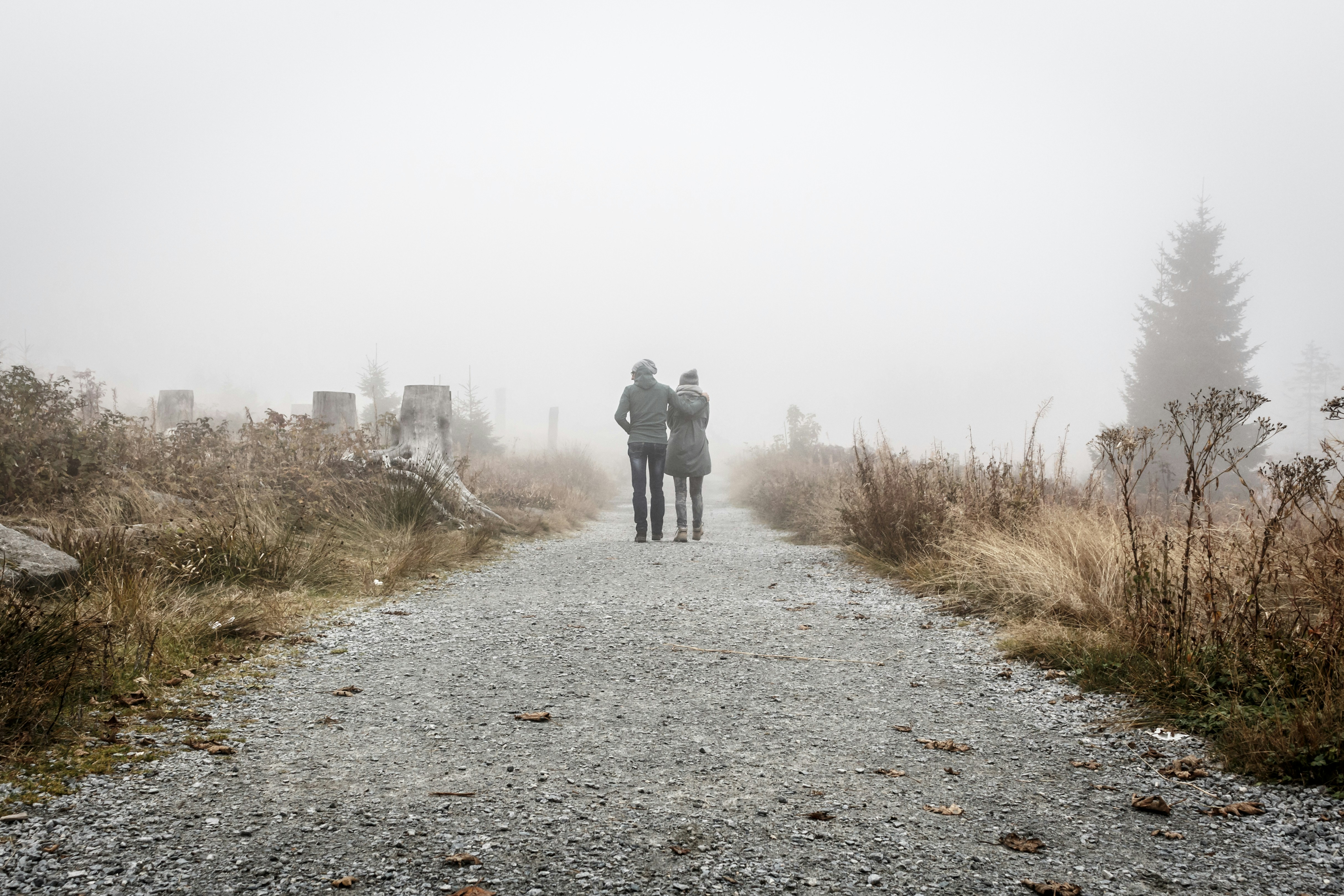 Into a misty horizon