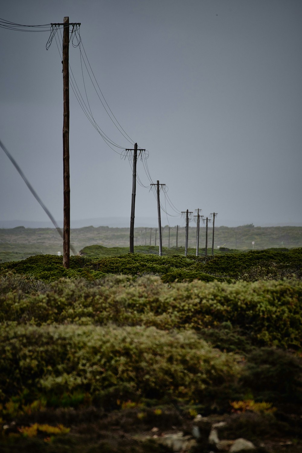 Poste de servicios públicos negro en terreno de hierba verde