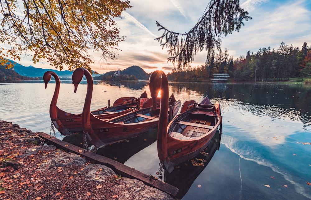 three brown paddle boats on body of water