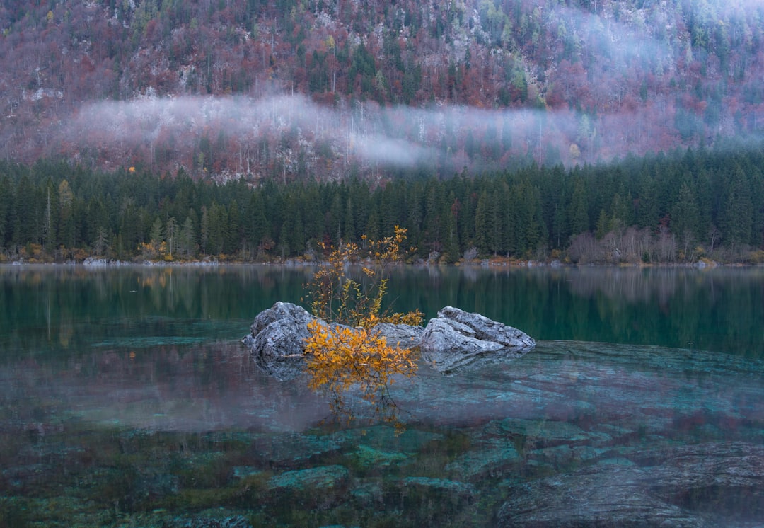 Nature reserve photo spot Tarvisio Udine