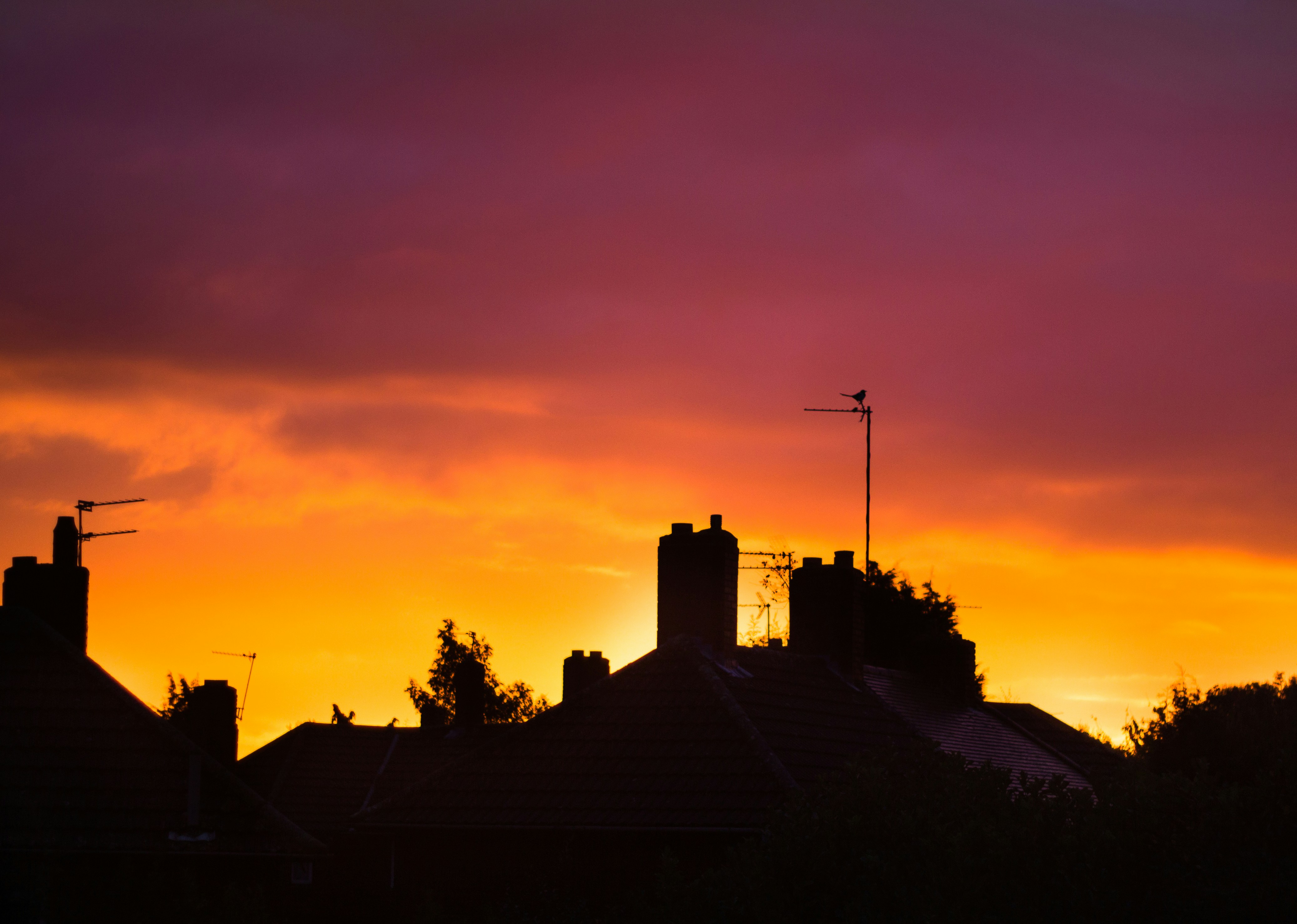 Free Unsplash photo from Alex