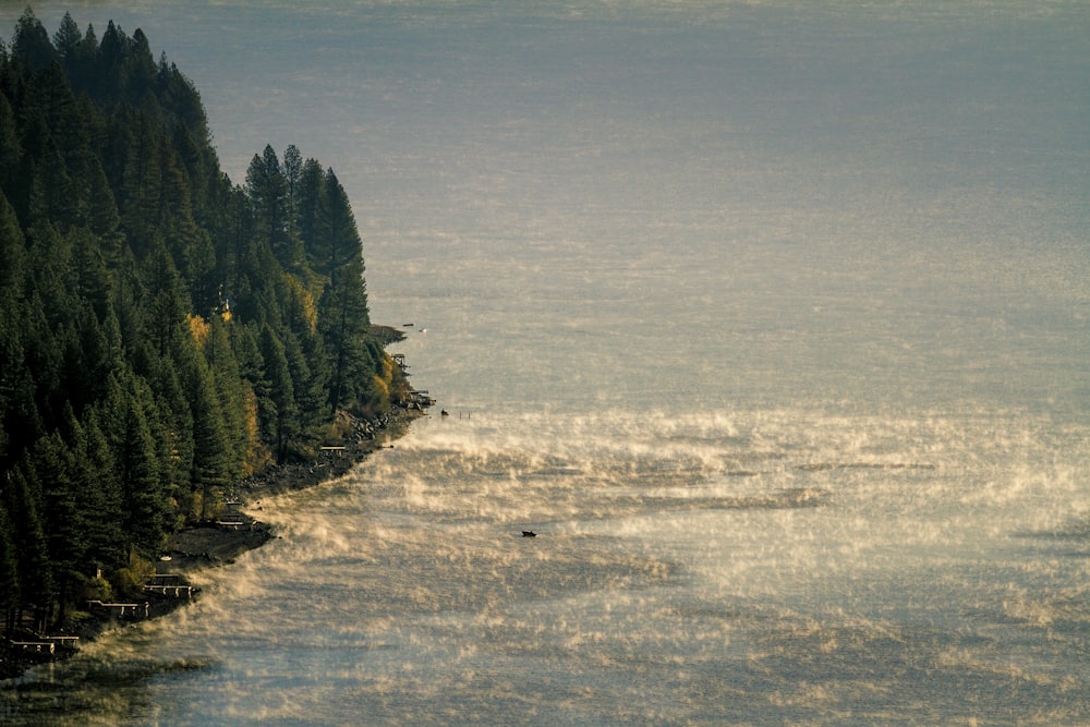 body of water near green trees during daytime