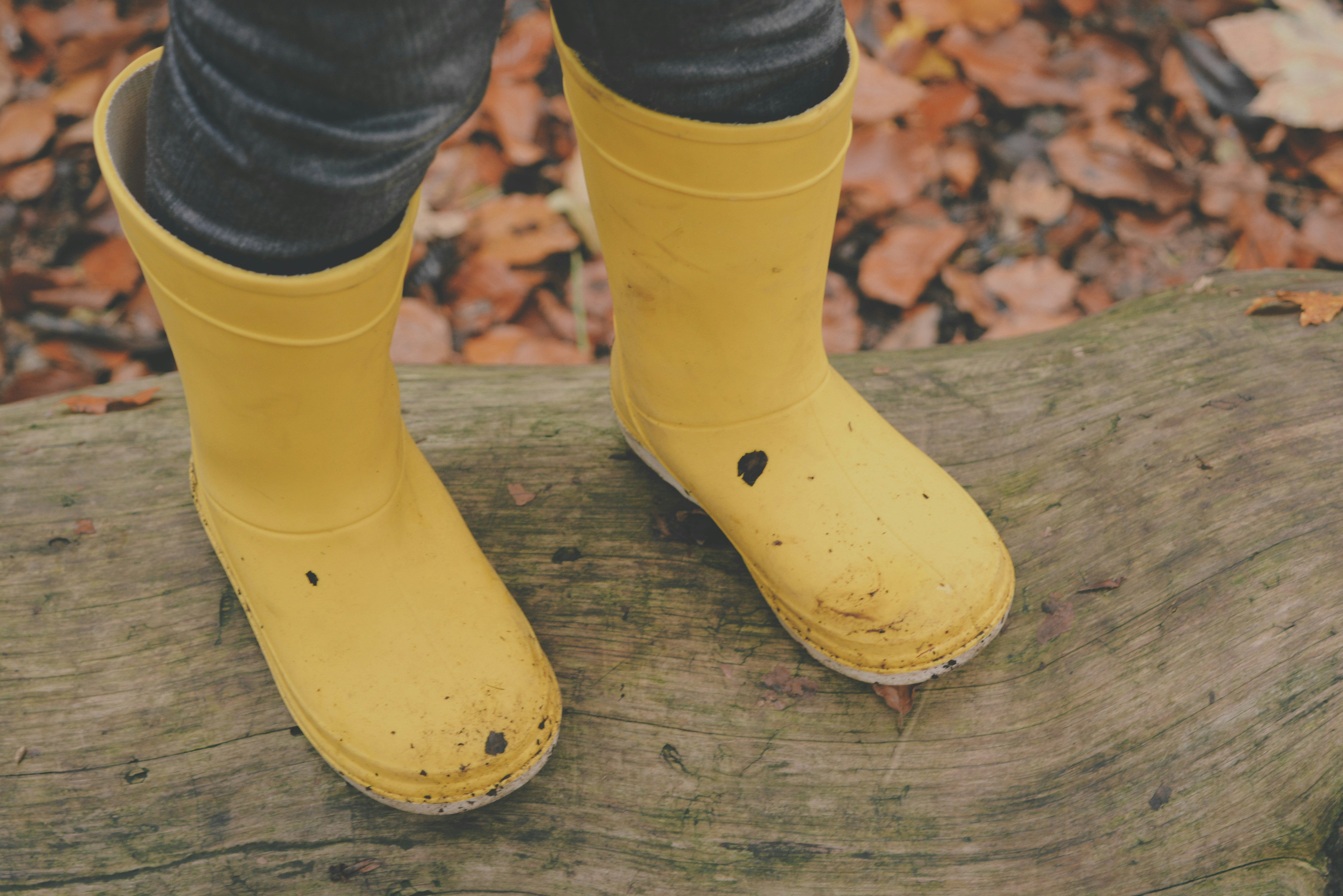 Free Unsplash photo from Sandra Wachowska