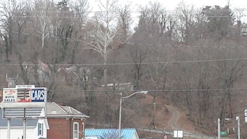 A landscape featuring a winding road flanked by leafless trees. In the foreground, there's a small building with a sign reading 'U-Go Auto Sales CARS.' The background consists of densely packed trees on a hillside with a few houses visible.