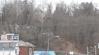 A landscape featuring a winding road flanked by leafless trees. In the foreground, there's a small building with a sign reading 'U-Go Auto Sales CARS.' The background consists of densely packed trees on a hillside with a few houses visible.
