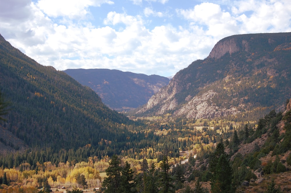 trees below mountain