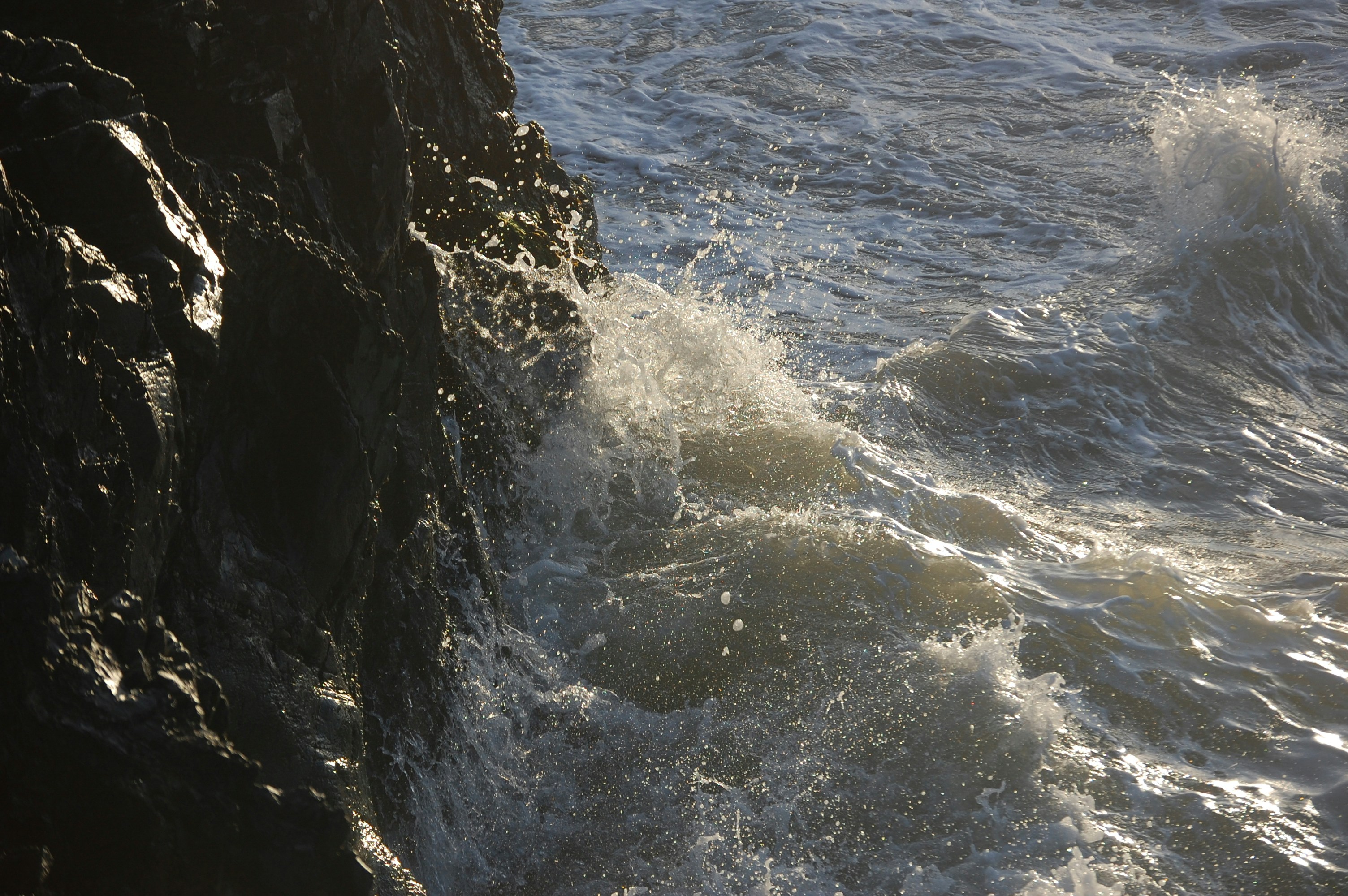 Free Unsplash photo from Robbie De Vries