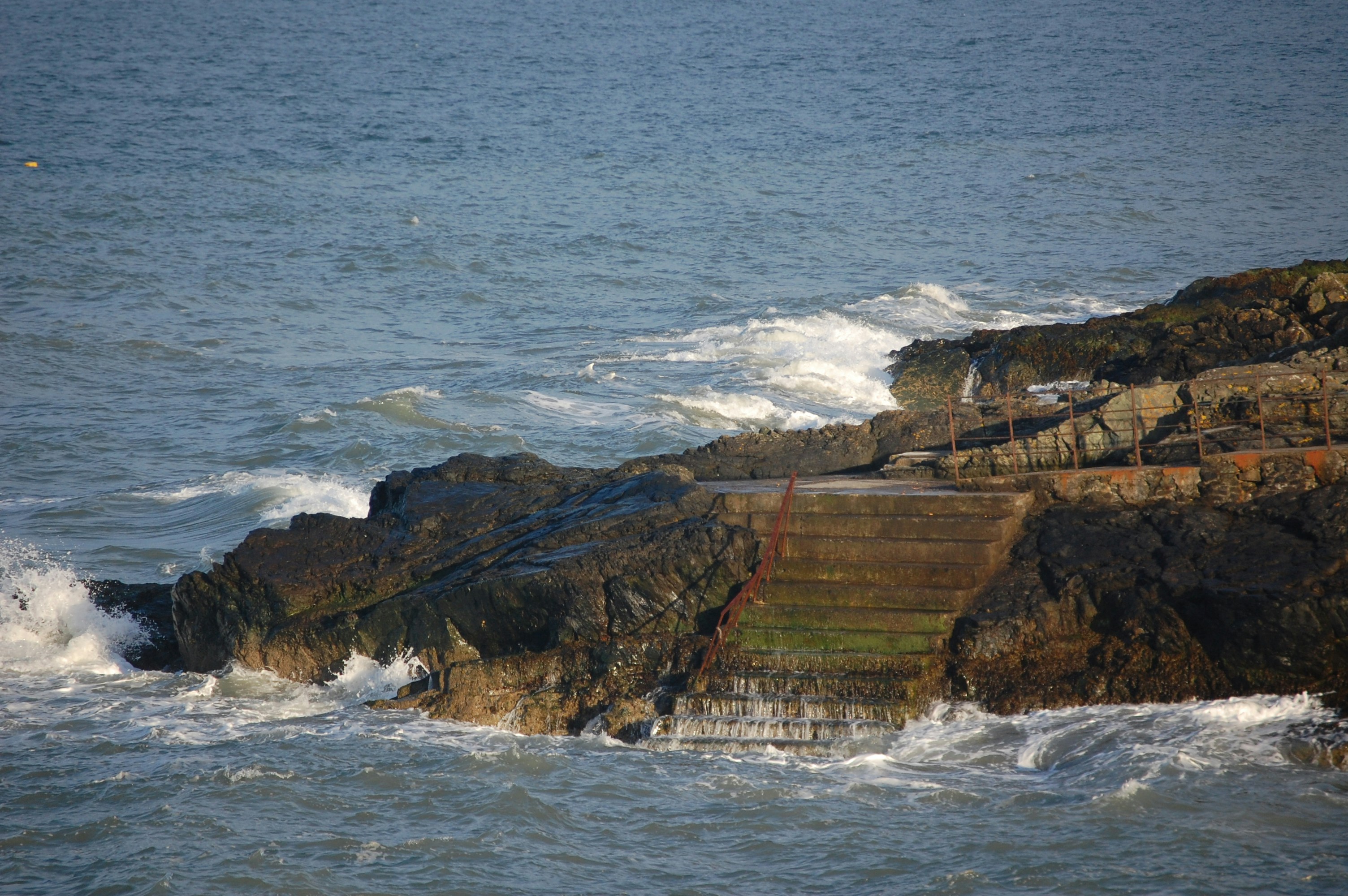 Free Unsplash photo from Robbie De Vries