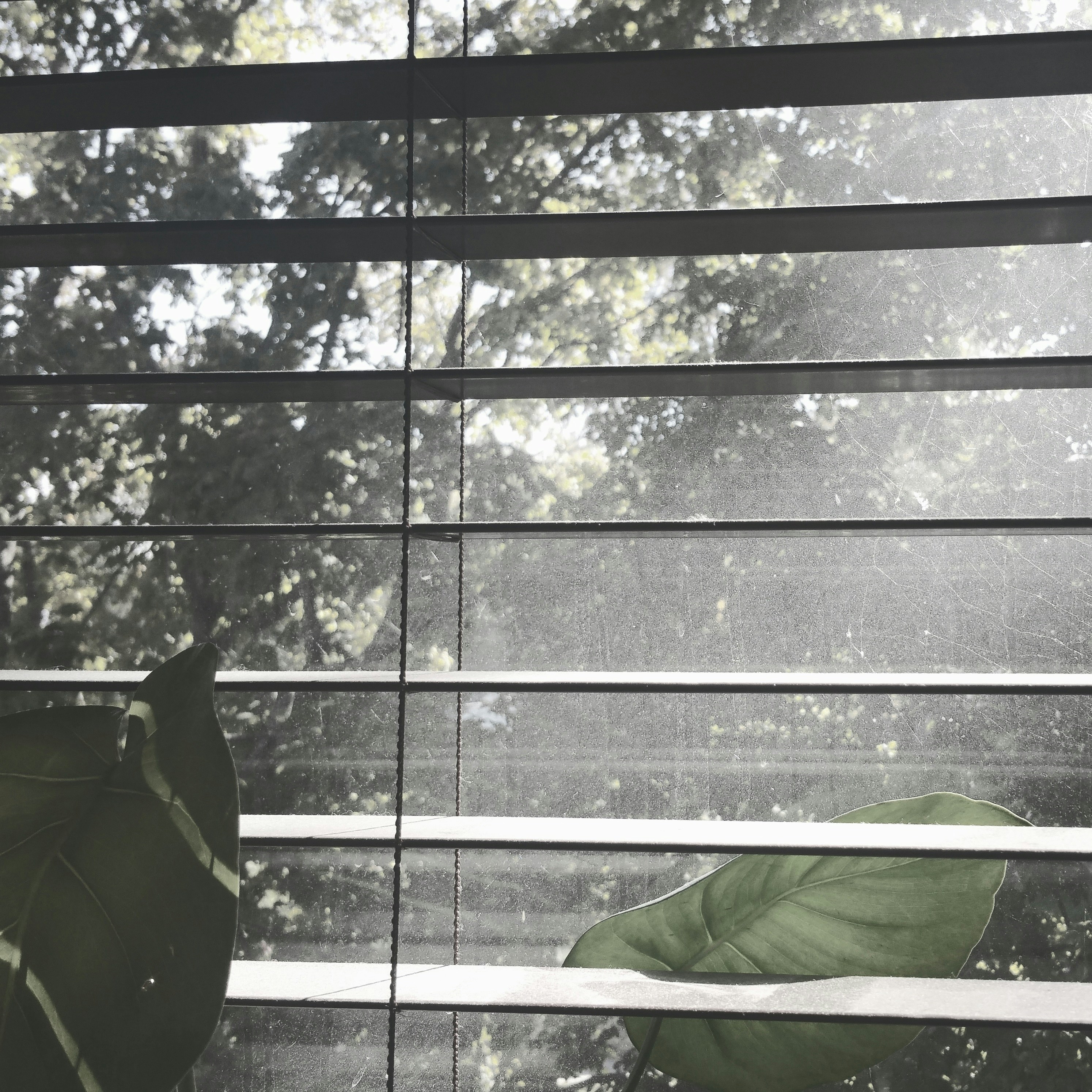 Free Unsplash photo from Mostly Just James