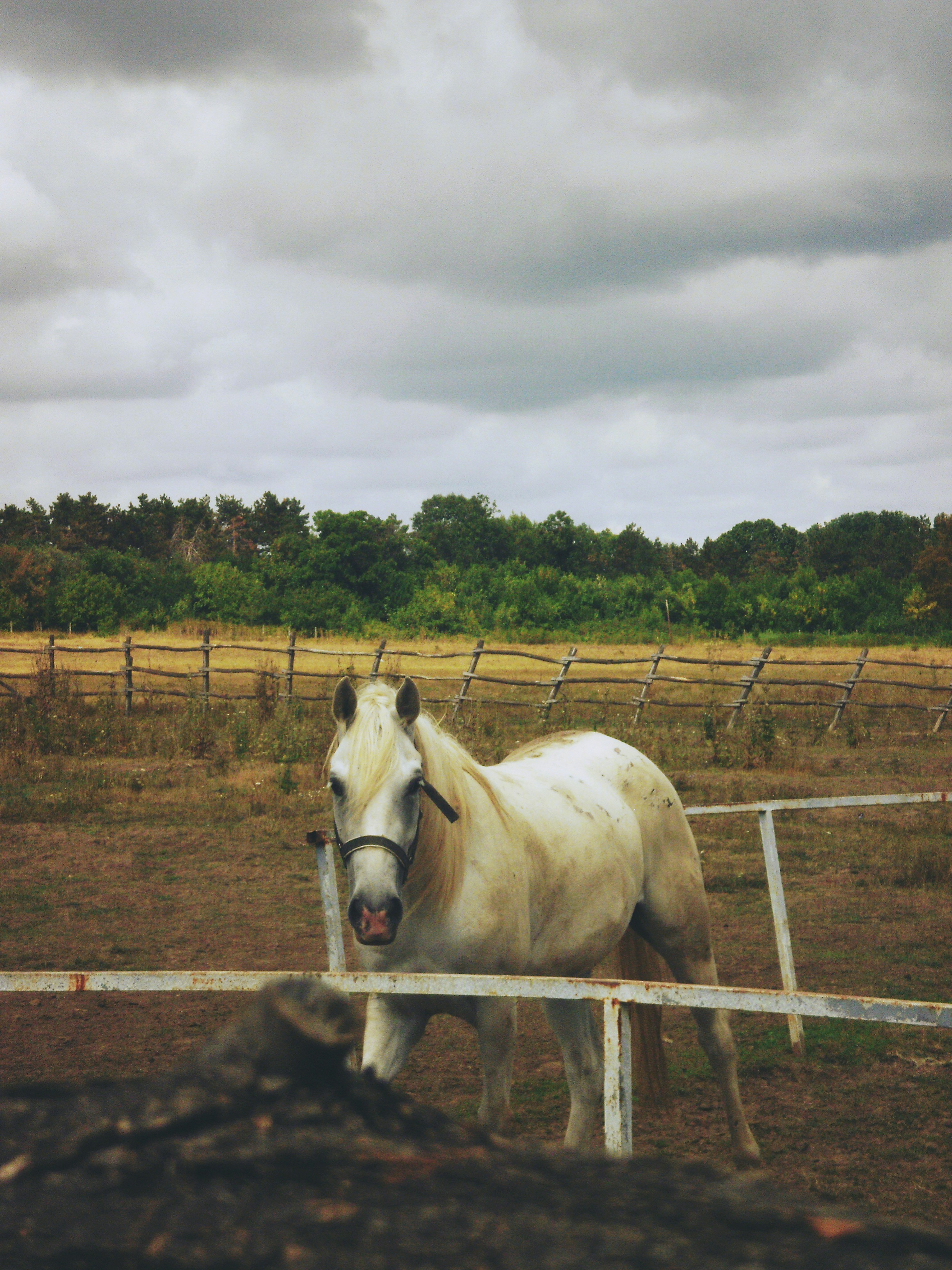 Free Unsplash photo from Kata Osto