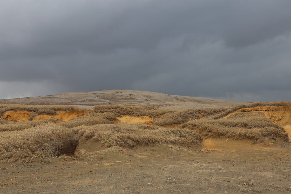 brown grass field mountain under cloudy sky