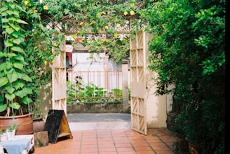 A wooden gate is open, surrounded by lush greenery and yellow flowers. There are plants climbing up the walls and a variety of potted plants on a tiled patio. Beyond the gate, a path leads to a fence with more vegetation visible. Natural sunlight brightens up the scene, creating a peaceful outdoor atmosphere.