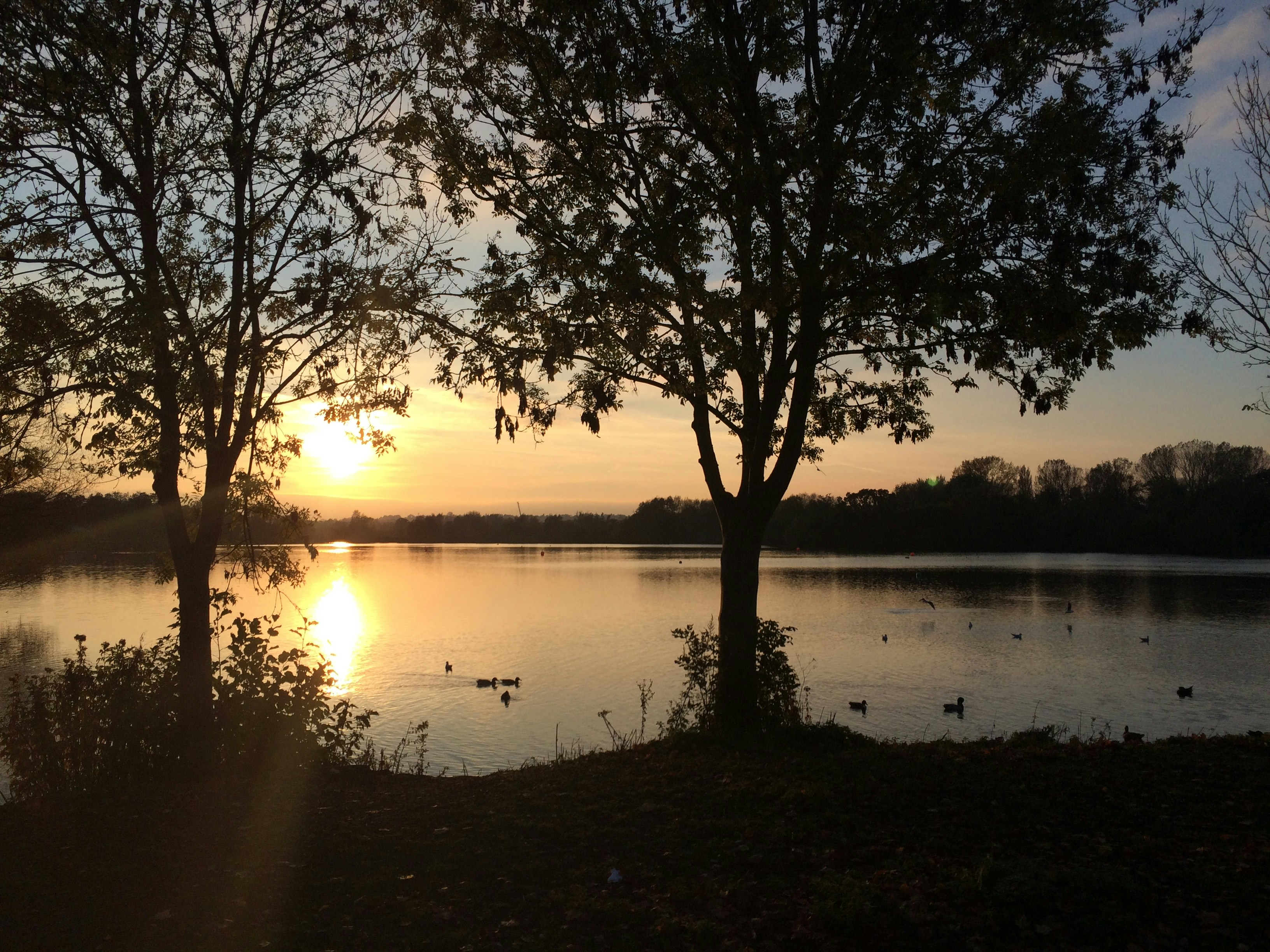 Free Unsplash photo from Rachael Newham