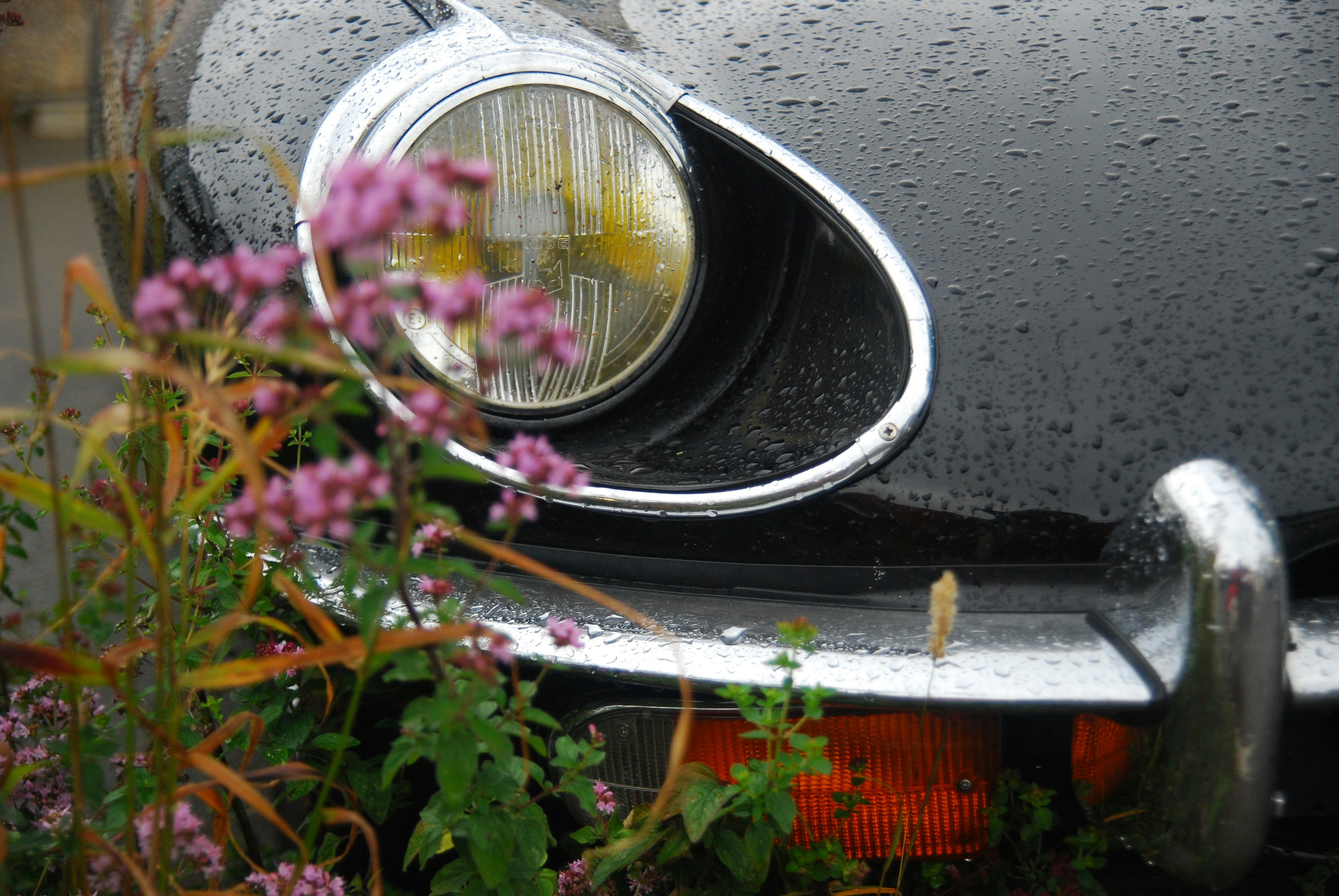 car accident attorney