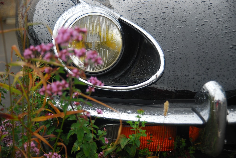 Voiture garée à l’arrière