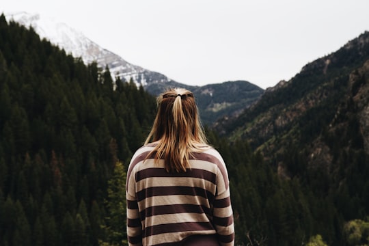 Tibble Fork Reservoir things to do in Alpine