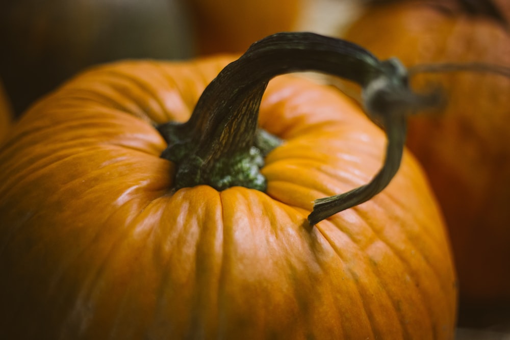 Fotografía de primer plano de calabaza