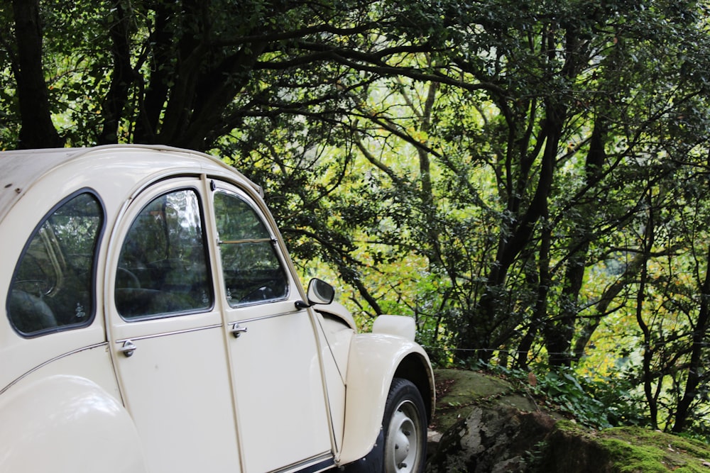 white beetle car in the middle of green trees