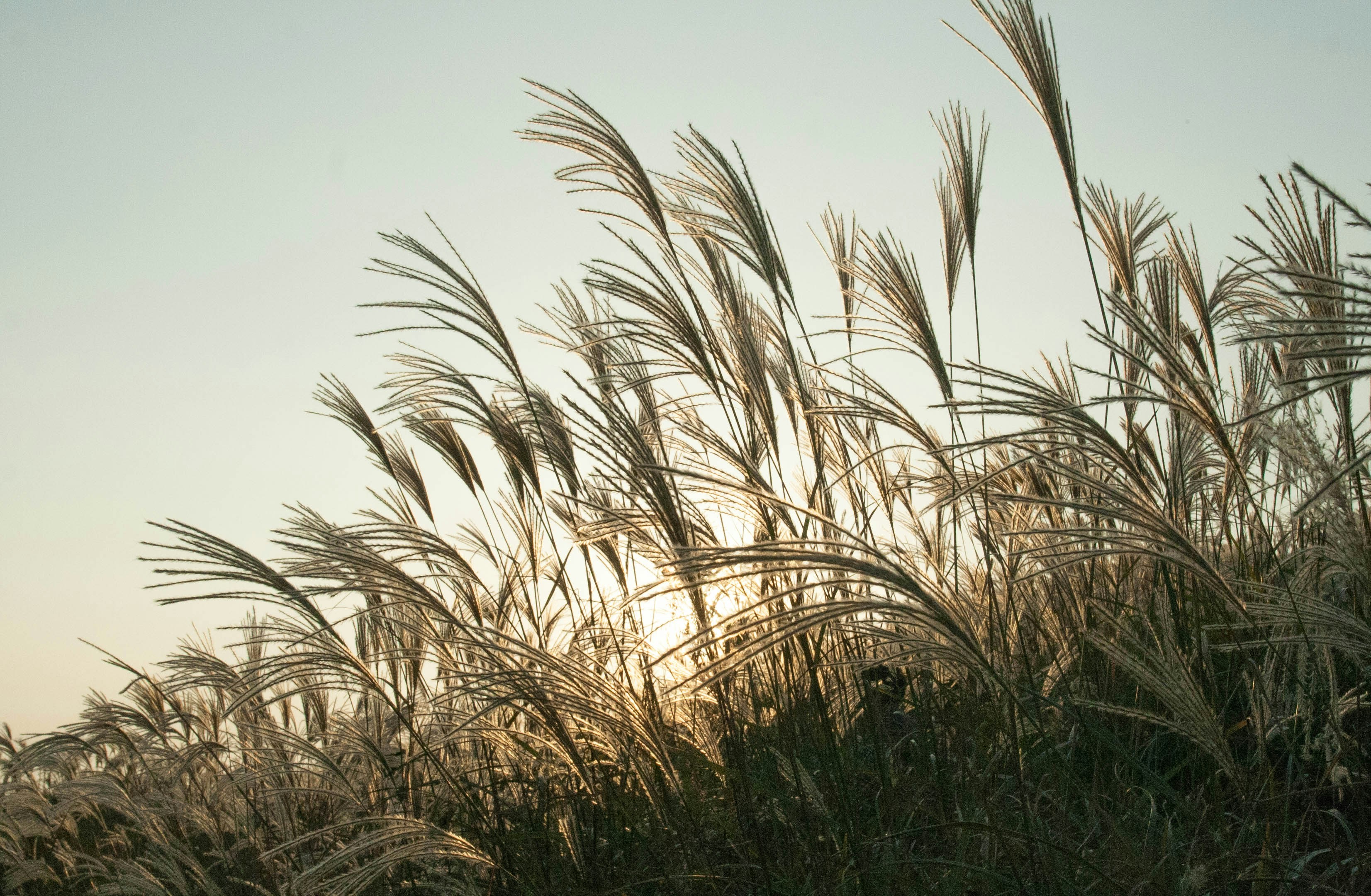 Free Unsplash photo from JinKyoung Kim