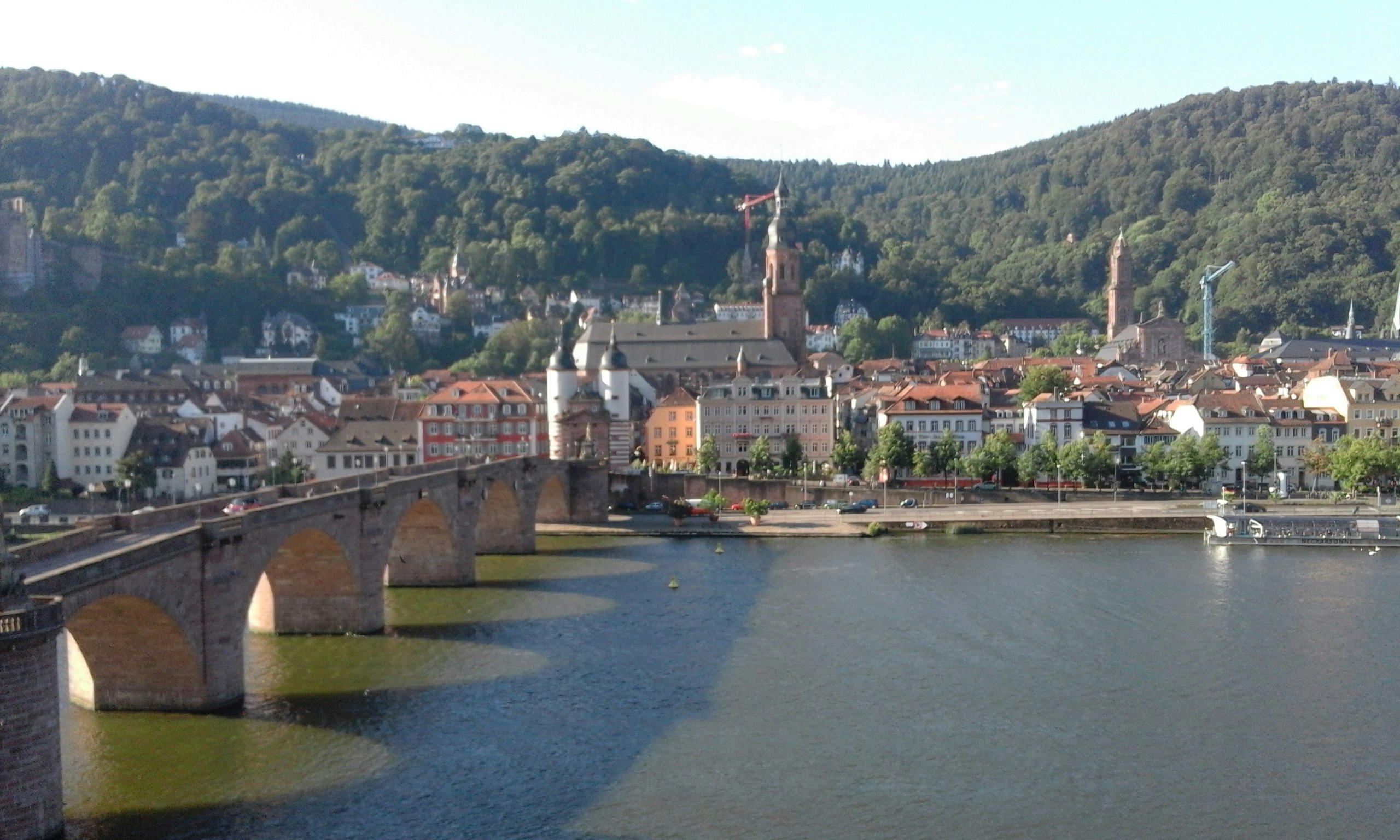 Free Unsplash photo from Amara Vincent