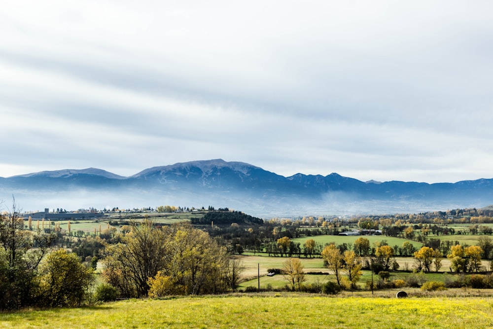 mountain in-front farm