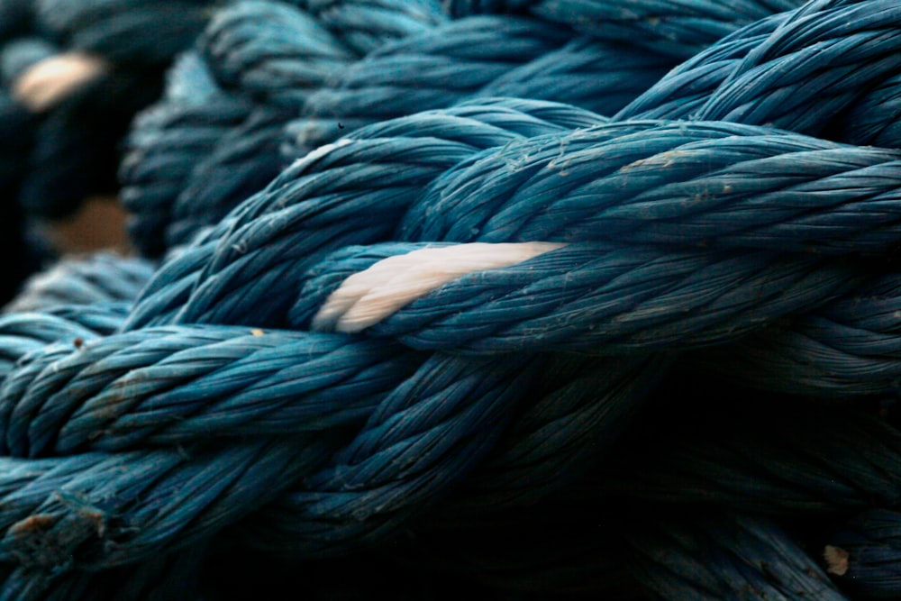 entangled blue and white ropes