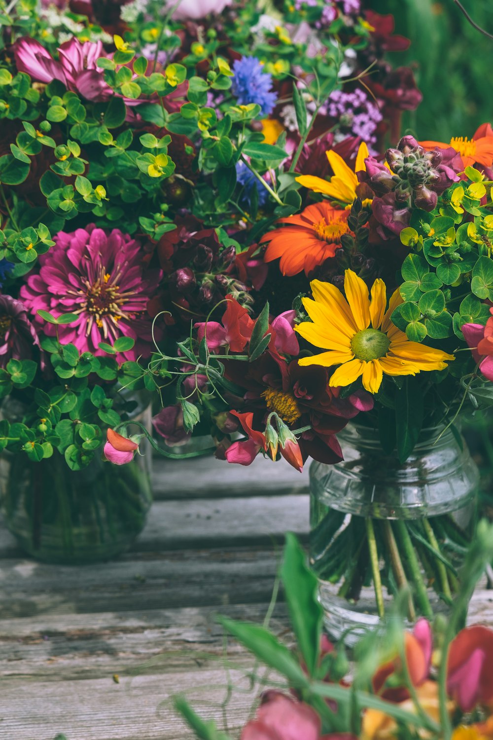 assorted-color petaled flowers