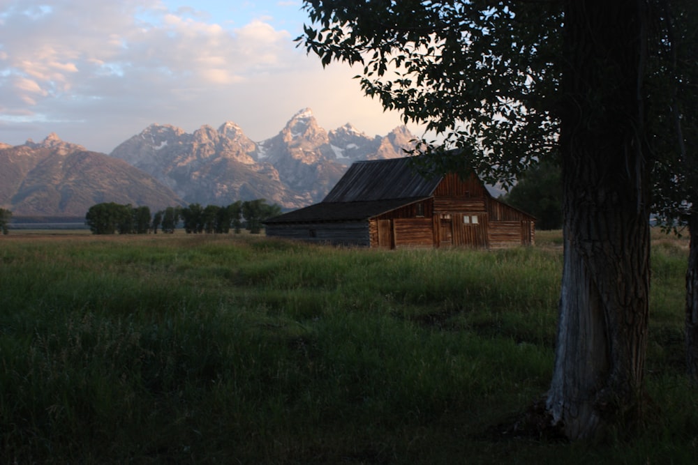 house on grass field near mountain