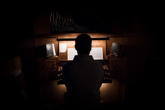 A person is seated at an organ, back turned to the viewer, in a dimly lit room. Sheet music and books are visible on the organ stand. The overall atmosphere is quiet and intimate, with a strong focus on the light illuminating the music.