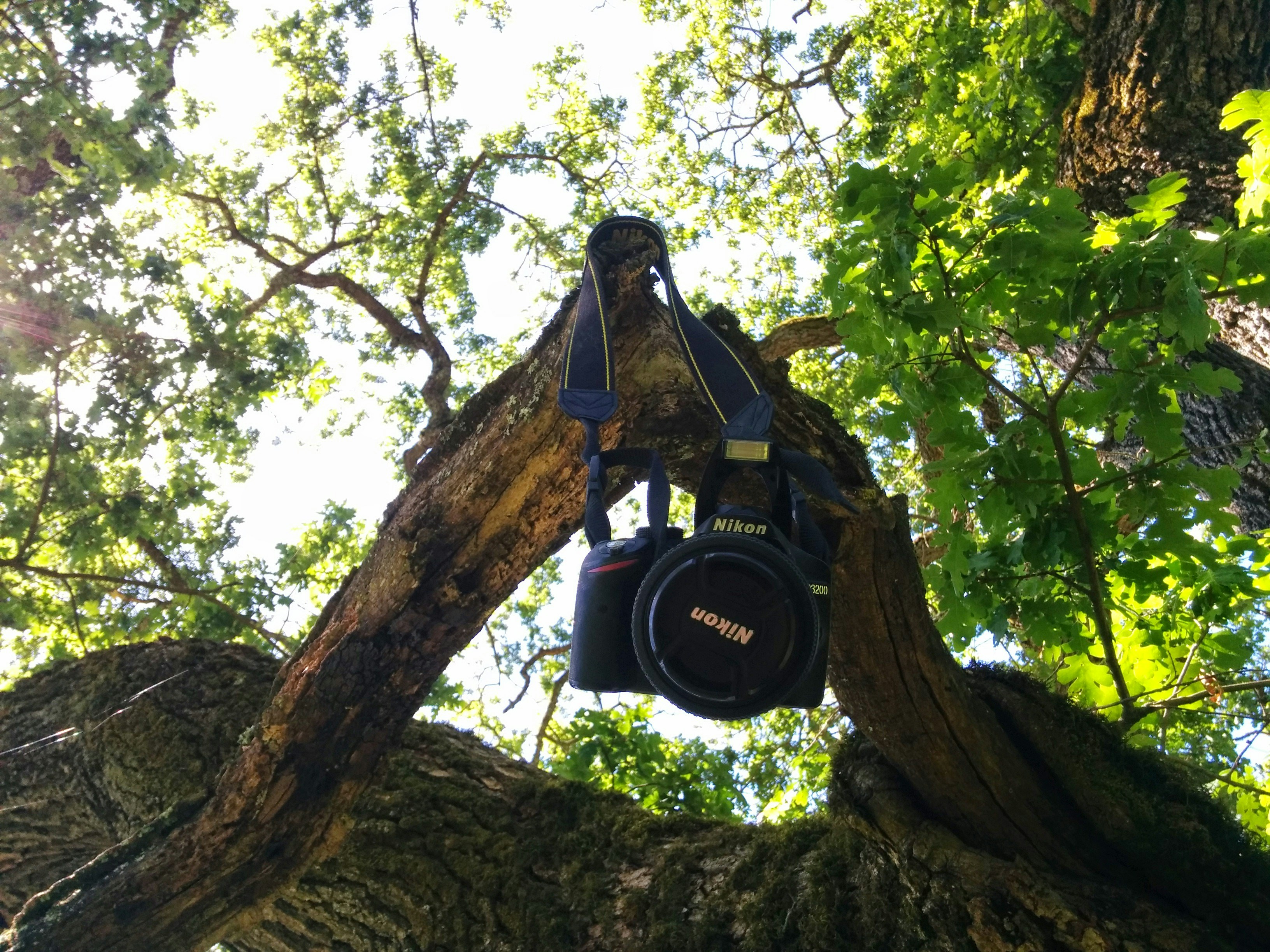 Free Unsplash photo from Aske Hippe Brun