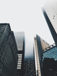 high-rise buildings covered with fog