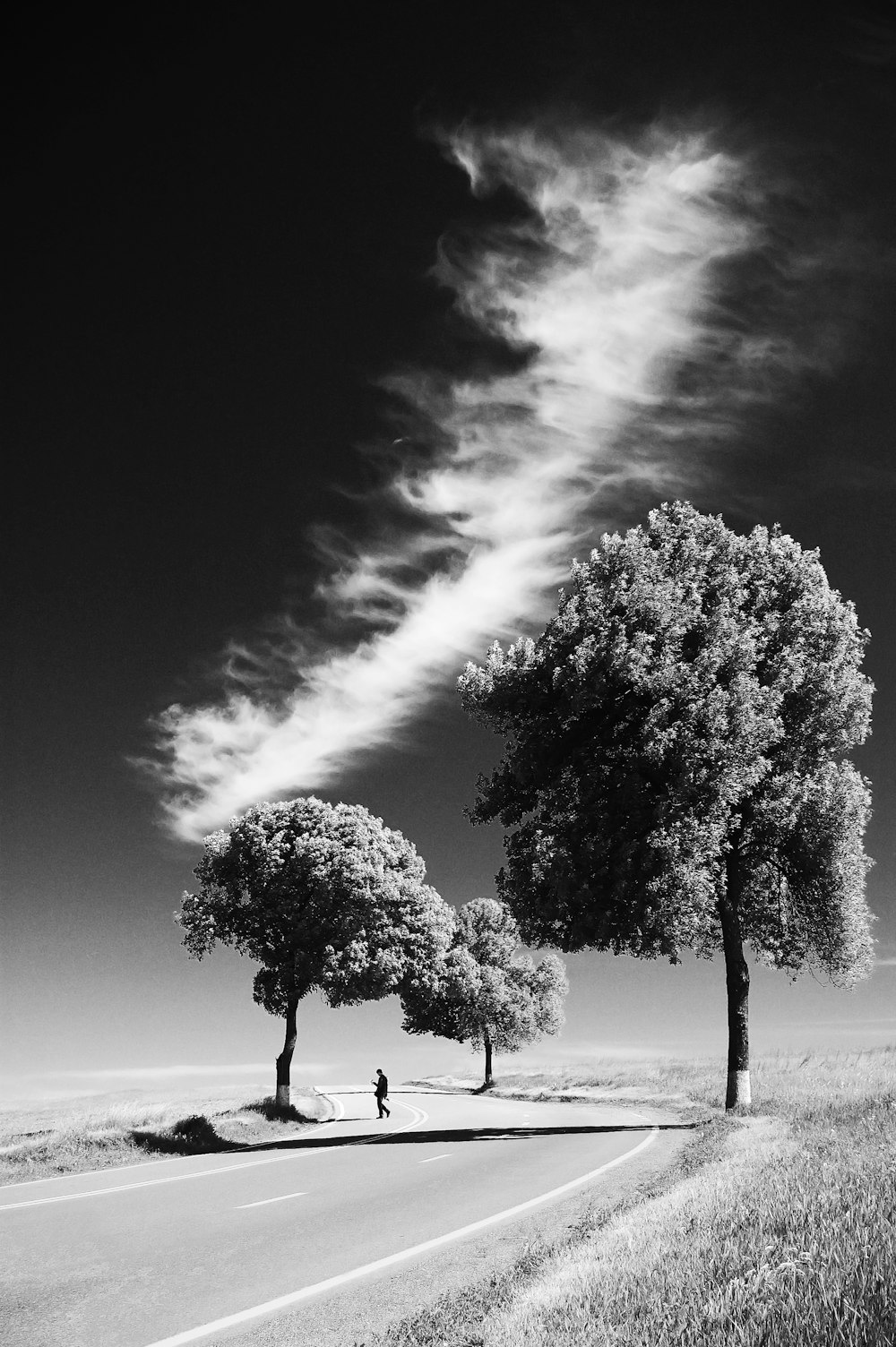 grayscale photo of person on road between trees