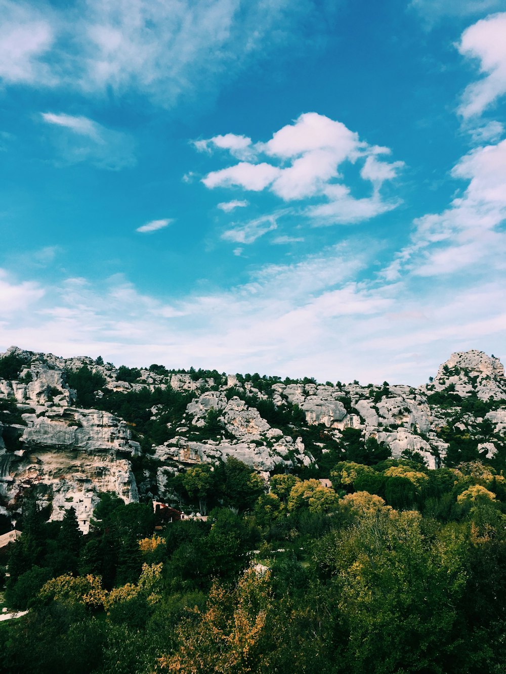 arbres verts à côté de la falaise